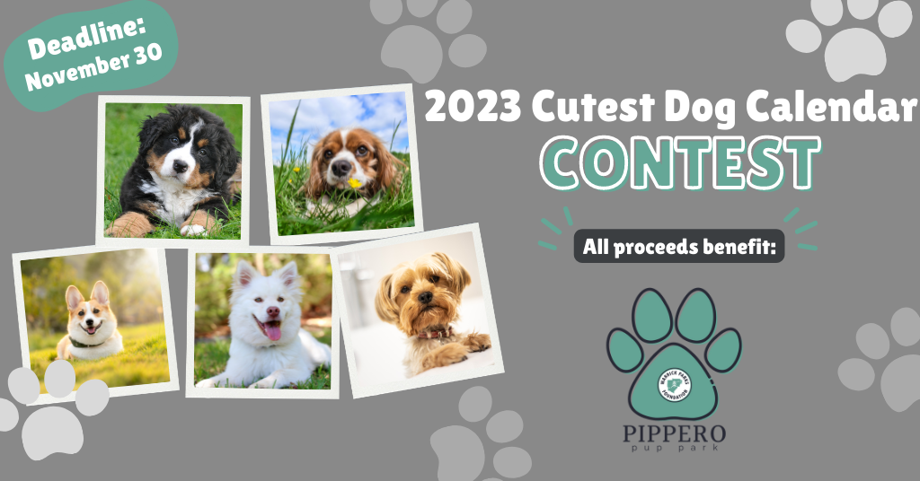 Cutest Dog Calendar Contest 360 Photo Contest